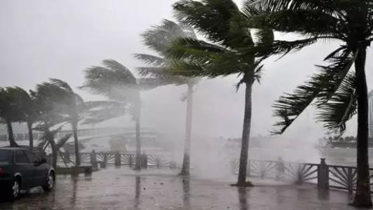 8月臺風雨即將來，除濕機還得用起來