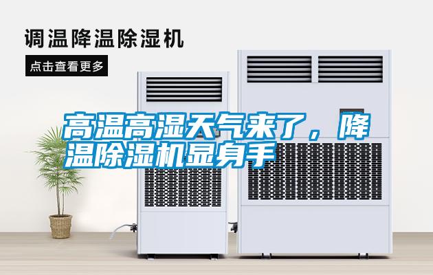 高溫高濕天氣來了,降溫除濕機顯身手