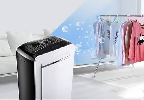 狗狗得了皮膚病，真兇竟是回南天？！