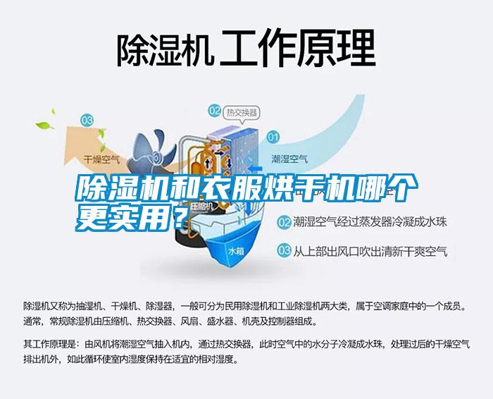 除濕機和衣服烘干機哪個更實用？