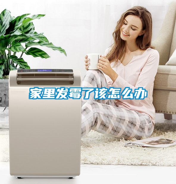 家里發霉了該怎么辦