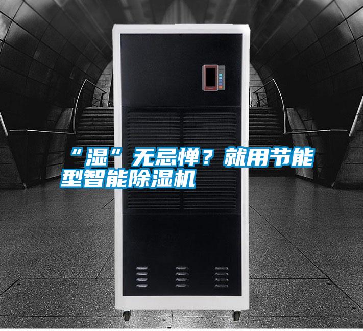 “濕”無忌憚？就用節能型智能除濕機