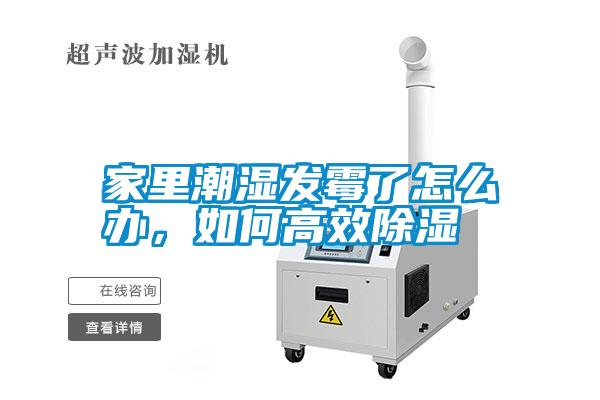 家里潮濕發霉了怎么辦，如何高效除濕