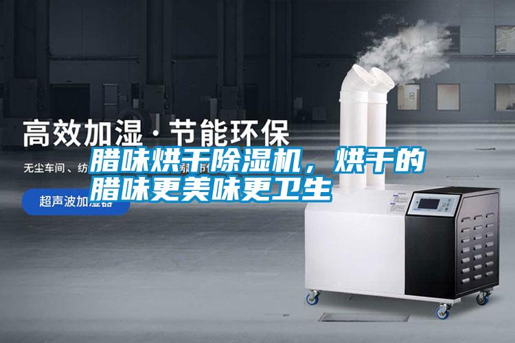 臘味烘干除濕機，烘干的臘味更美味更衛生