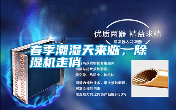 春季潮濕天來臨，除濕機走俏