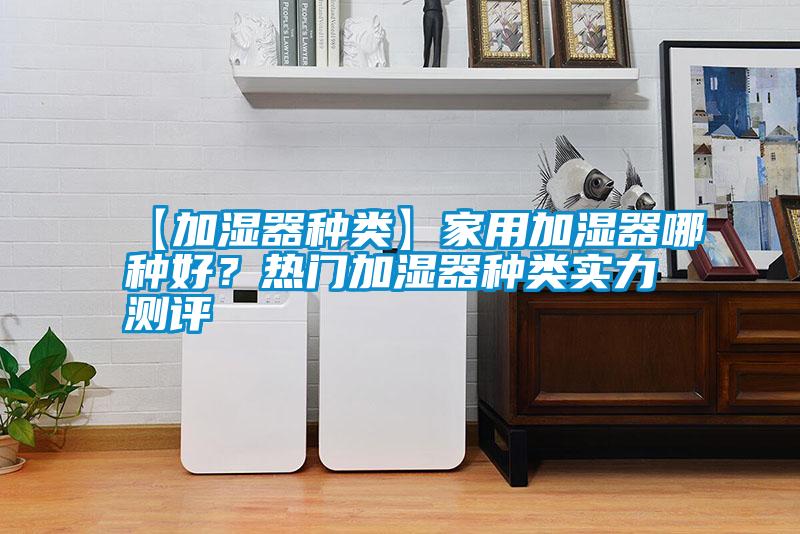 【加濕器種類】家用加濕器哪種好？熱門加濕器種類實力測評