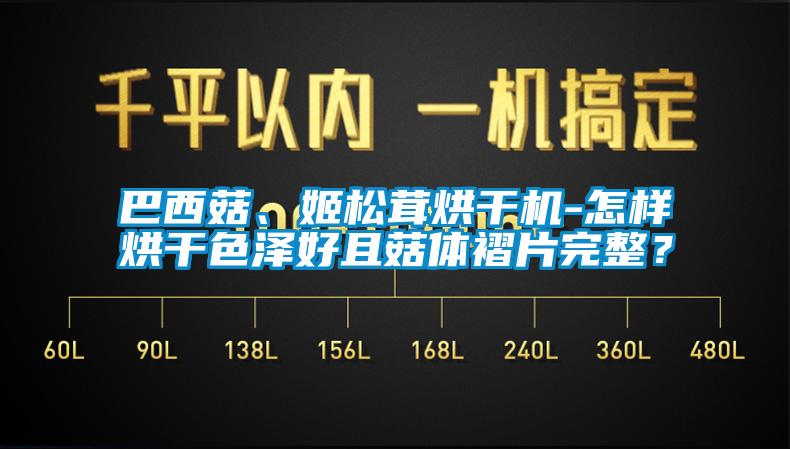 巴西菇、姬松茸烘干機-怎樣烘干色澤好且菇體褶片完整？