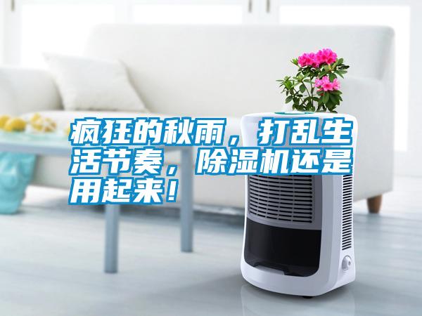 瘋狂的秋雨，打亂生活節(jié)奏，除濕機(jī)還是用起來！