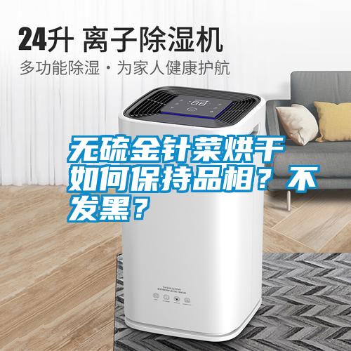 無硫金針菜烘干如何保持品相？不發黑？