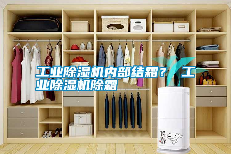 工業除濕機內部結霜？ 工業除濕機除霜