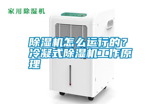 除濕機(jī)怎么運行的？冷凝式除濕機(jī)工作原理