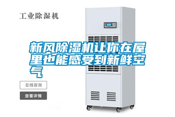 新風(fēng)除濕機讓你在屋里也能感受到新鮮空氣