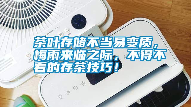 茶葉存儲不當易變質，梅雨來臨之際，不得不看的存茶技巧！