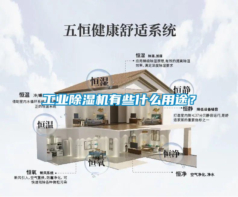 工業除濕機有些什么用途？