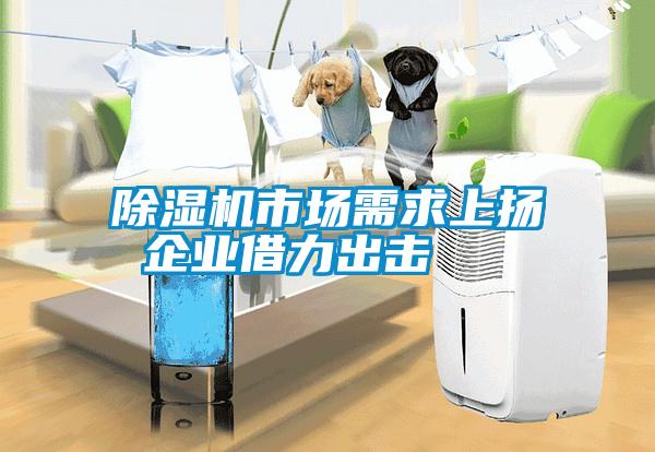除濕機市場需求上揚 企業借力出擊