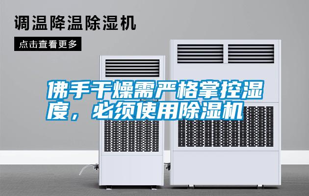 佛手干燥需嚴格掌控濕度，必須使用除濕機