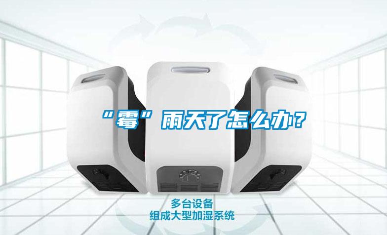 “霉”雨天了怎么辦？