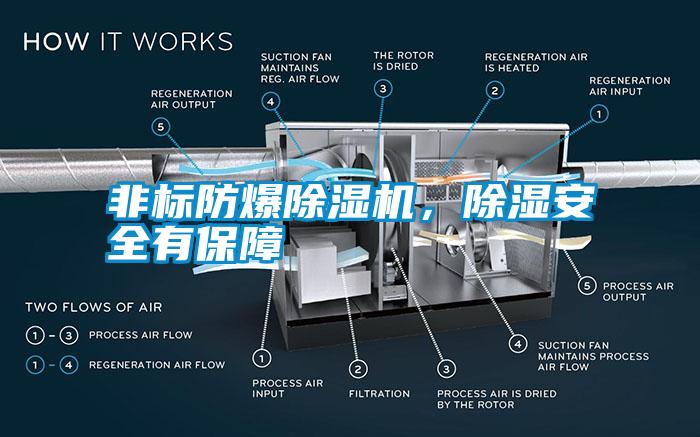 非標防爆除濕機，除濕安全有保障