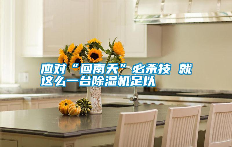 應(yīng)對“回南天”必殺技 就這么一臺除濕機(jī)足以