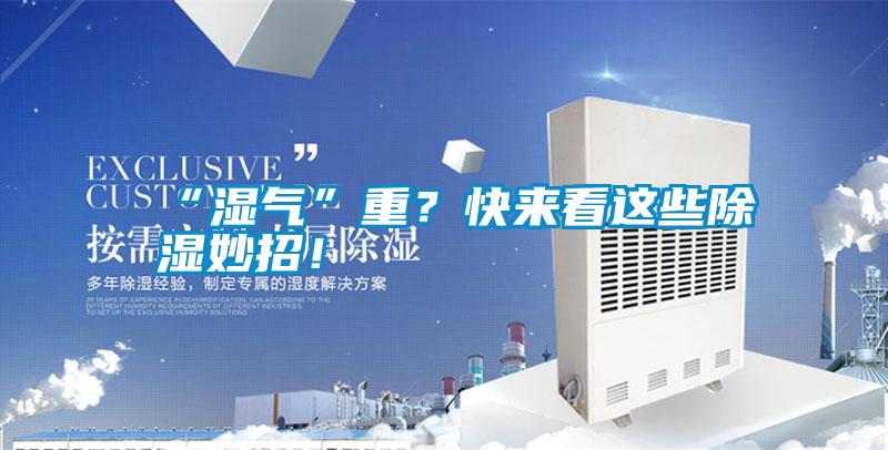 “濕氣”重？快來看這些除濕妙招！
