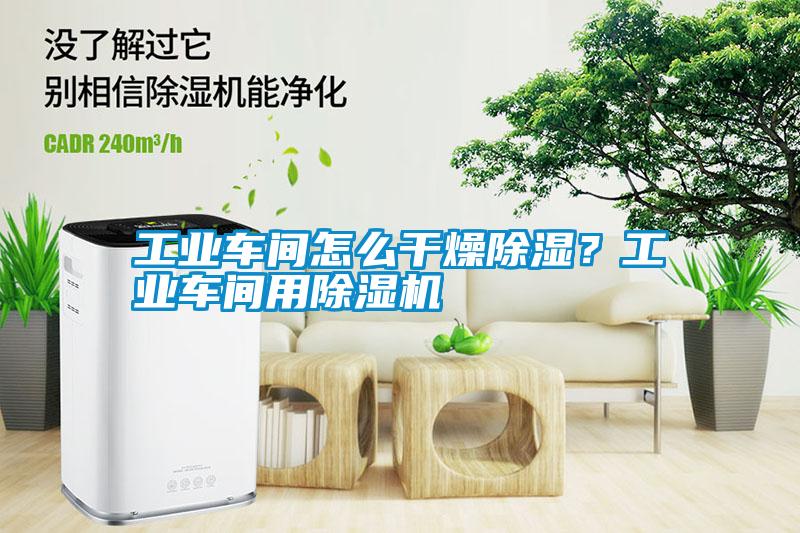 工業車間怎么干燥除濕？工業車間用除濕機