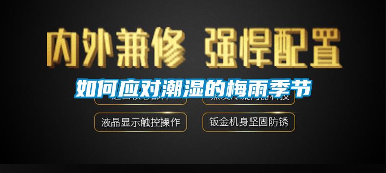 如何應對潮濕的梅雨季節