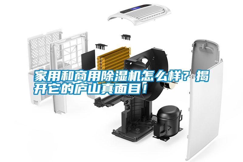 家用和商用除濕機怎么樣？揭開它的廬山真面目！