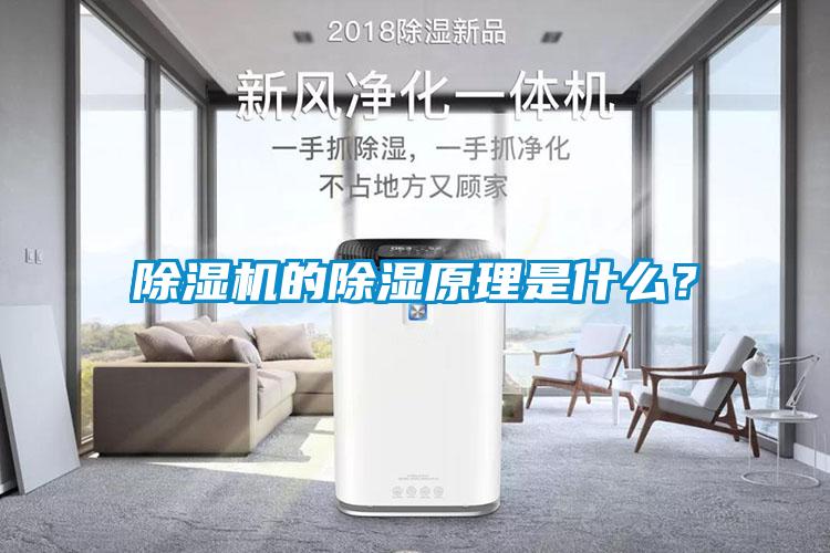 除濕機(jī)的除濕原理是什么？