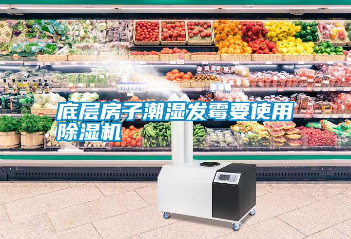 底層房子潮濕發霉要使用除濕機