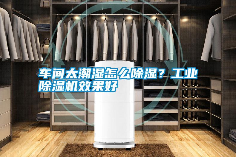 車間太潮濕怎么除濕？工業(yè)除濕機效果好