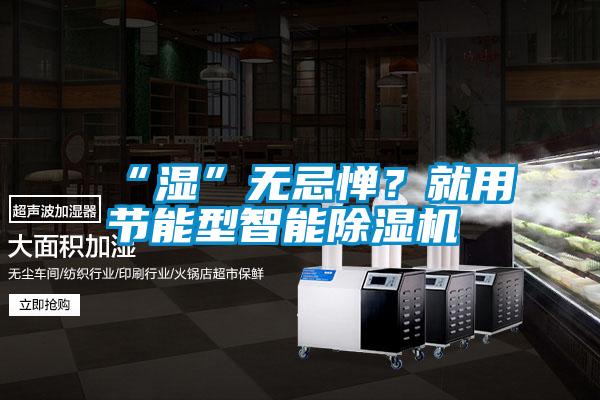 “濕”無忌憚？就用節能型智能除濕機