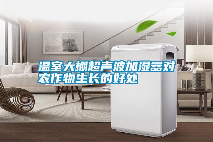 溫室大棚超聲波加濕器對農作物生長的好處
