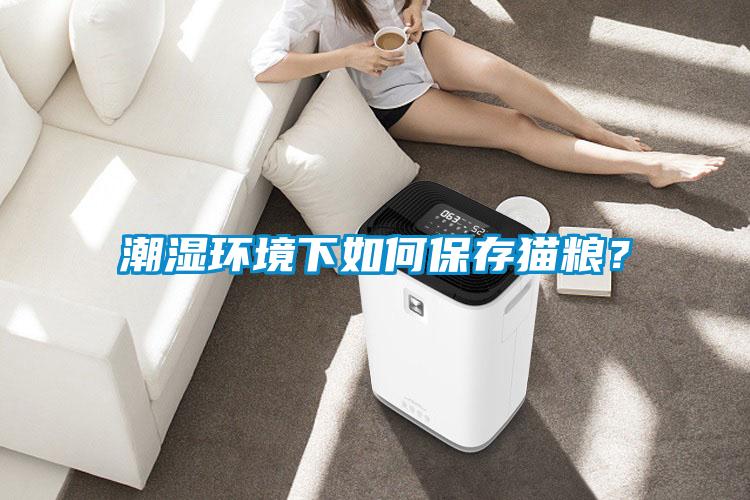 潮濕環境下如何保存貓糧？