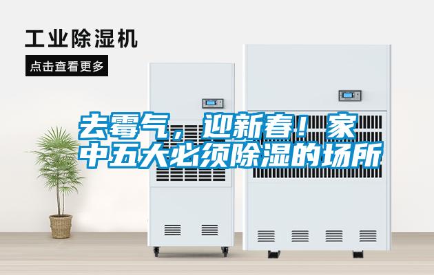 去霉氣，迎新春！家中五大必須除濕的場所