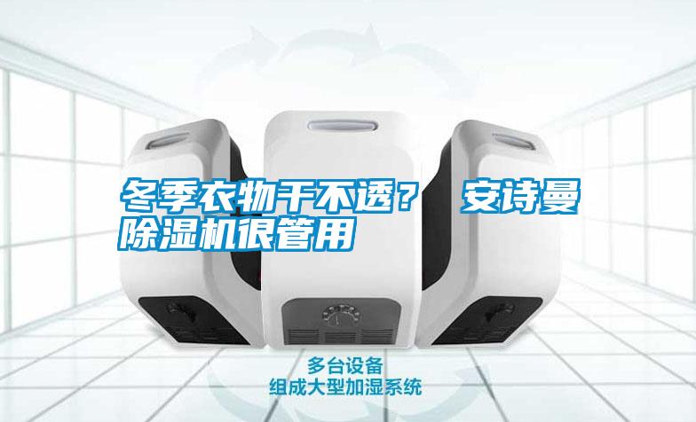 冬季衣物干不透？ 安詩曼除濕機很管用
