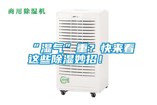 “濕氣”重？快來看這些除濕妙招！