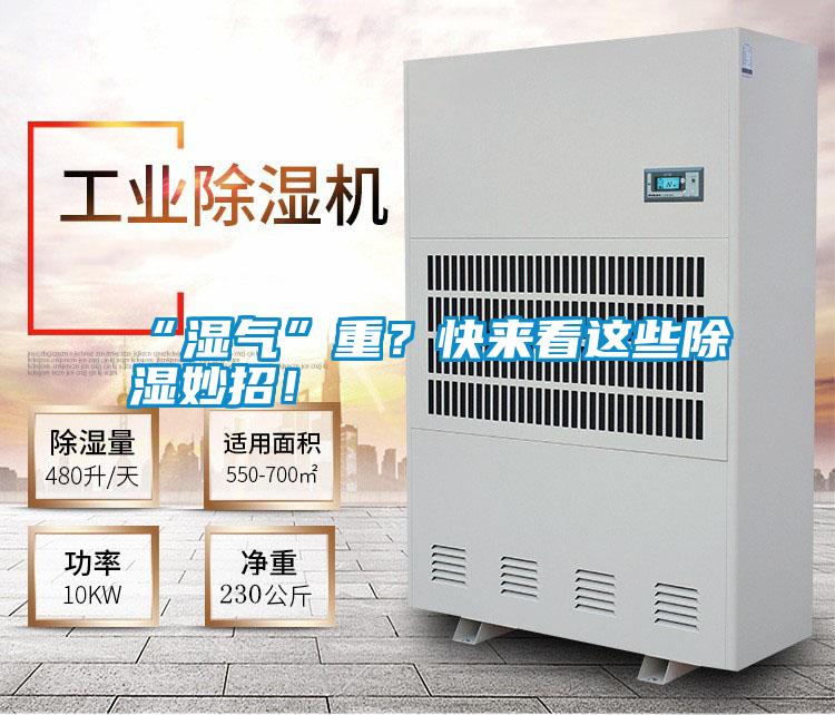 “濕氣”重？快來看這些除濕妙招！