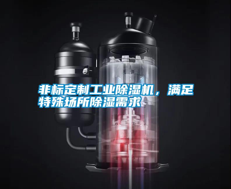 非標定制工業除濕機，滿足特殊場所除濕需求