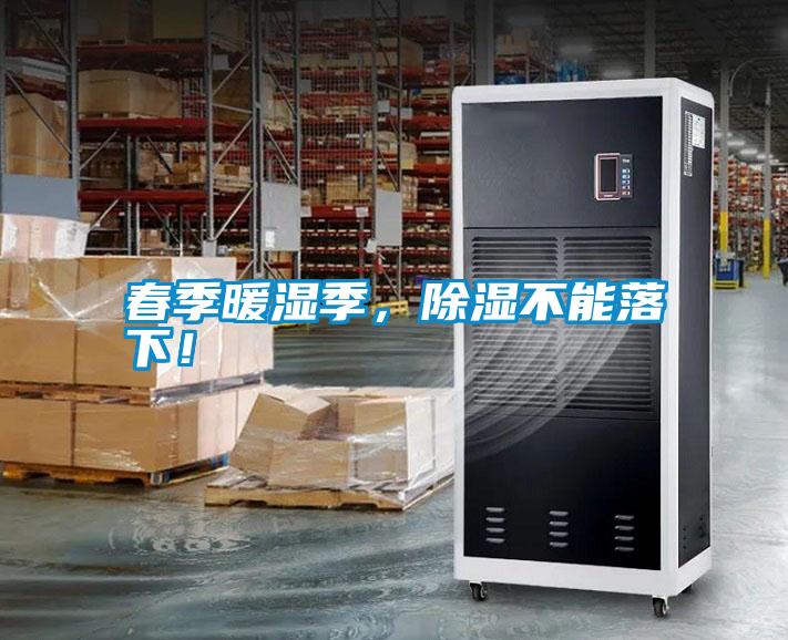春季暖濕季，除濕不能落下！