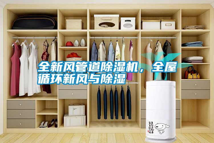 全新風管道除濕機，全屋循環新風與除濕