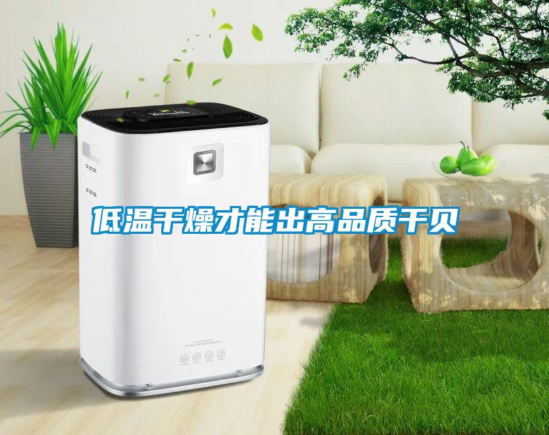 低溫干燥才能出高品質干貝