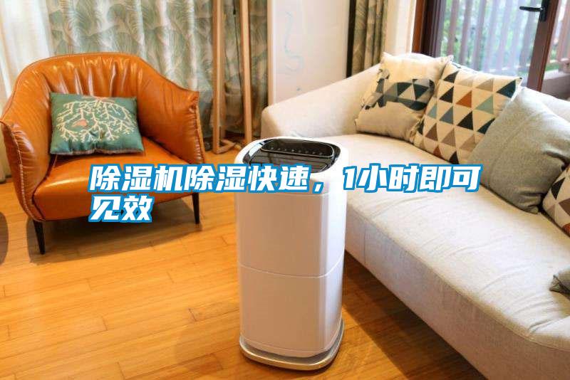 除濕機除濕快速，1小時即可見效