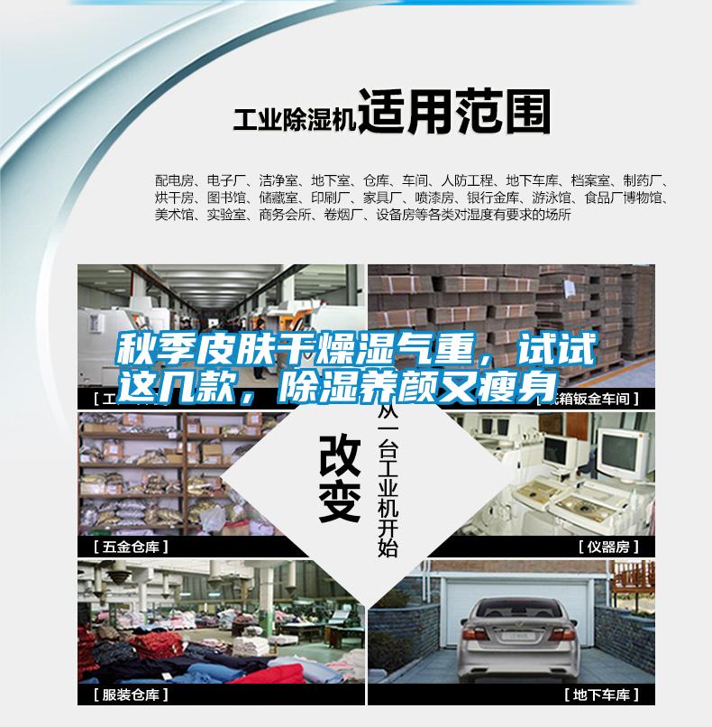 秋季皮膚干燥濕氣重，試試這幾款，除濕養顏又瘦身