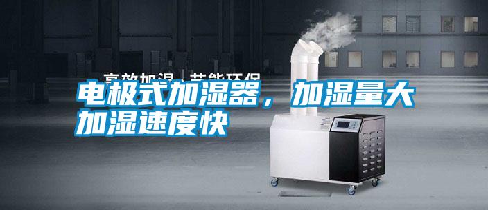 電極式加濕器，加濕量大加濕速度快