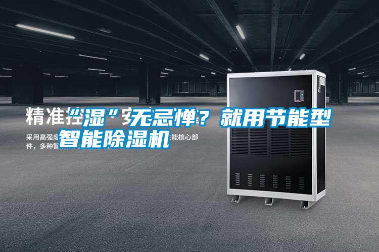 “濕”無忌憚？就用節能型智能除濕機