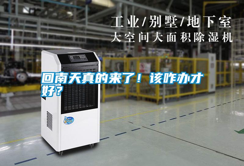 回南天真的來了！該咋辦才好？