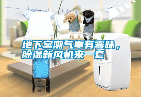 地下室潮氣重有霉味，除濕新風(fēng)機(jī)來一套