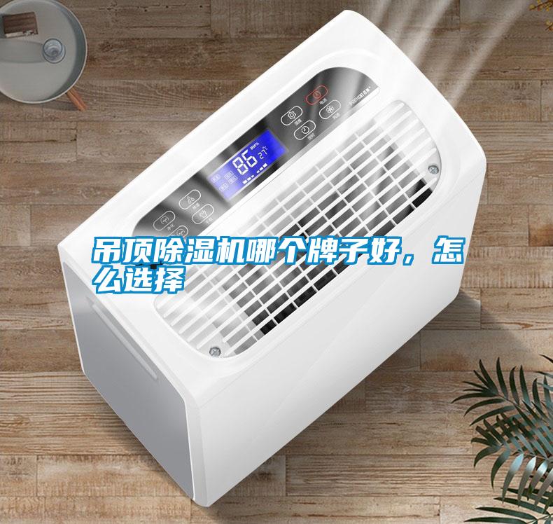 吊頂除濕機(jī)哪個牌子好，怎么選擇