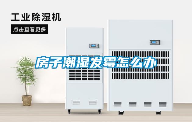 房子潮濕發霉怎么辦