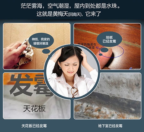 如何了解轉輪除濕機的運行性能？